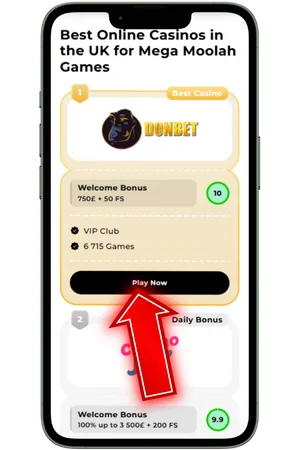 Choose the best online casino Mega Moolah