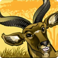 Antilope kudu